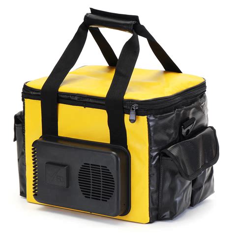 portable electric cooler bag